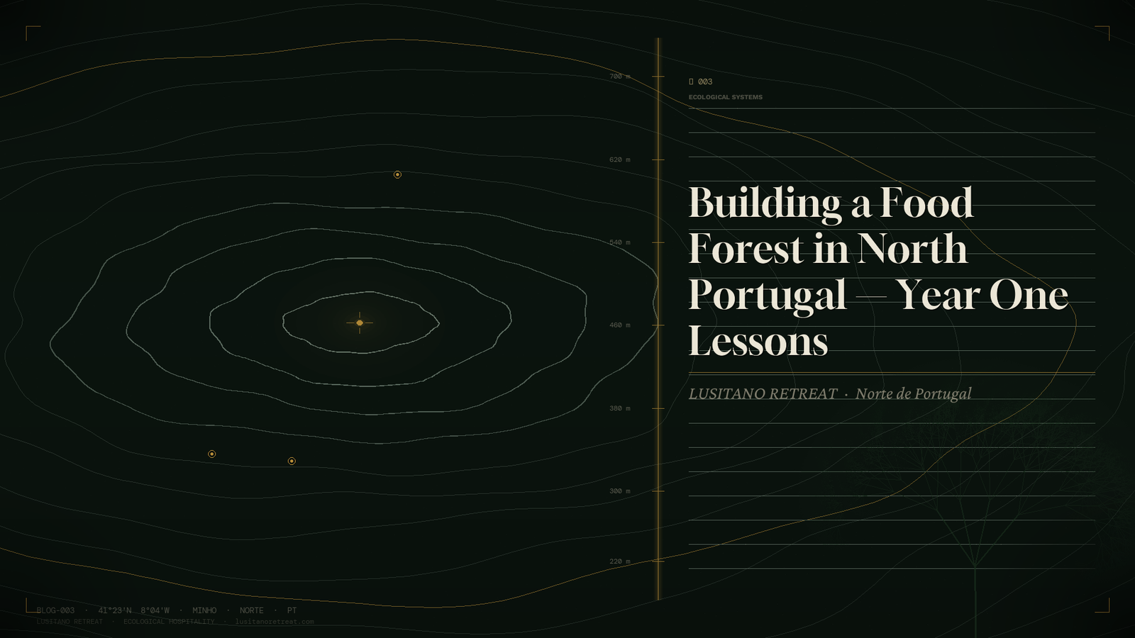 Building a Food Forest in North Portugal — Year One Lessons