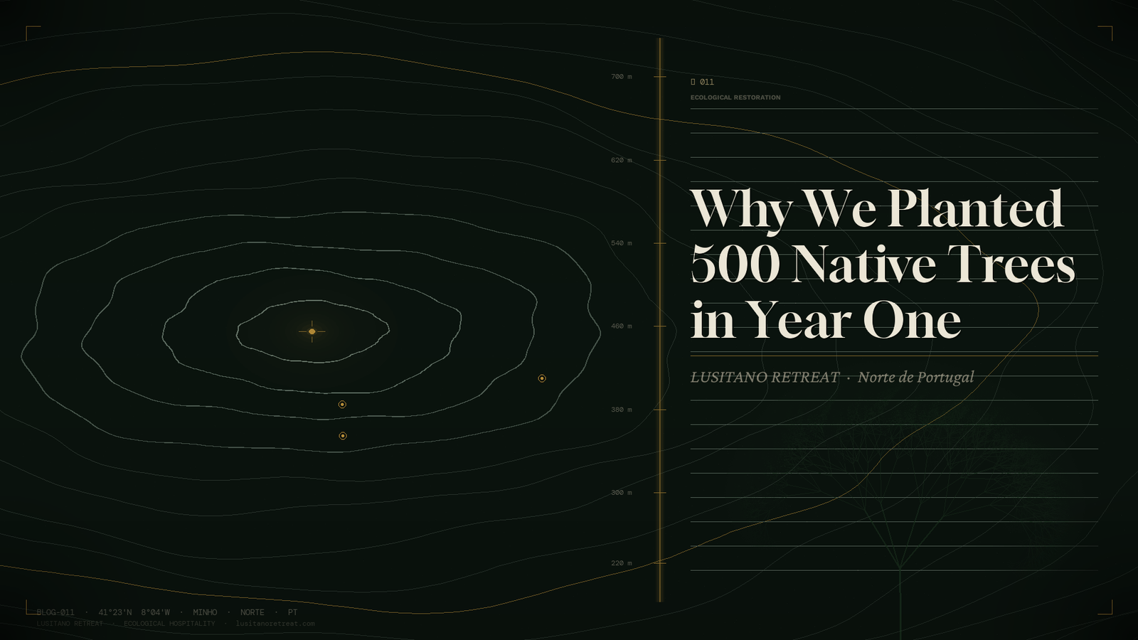 Why We Planted 500 Native Trees in Year One
