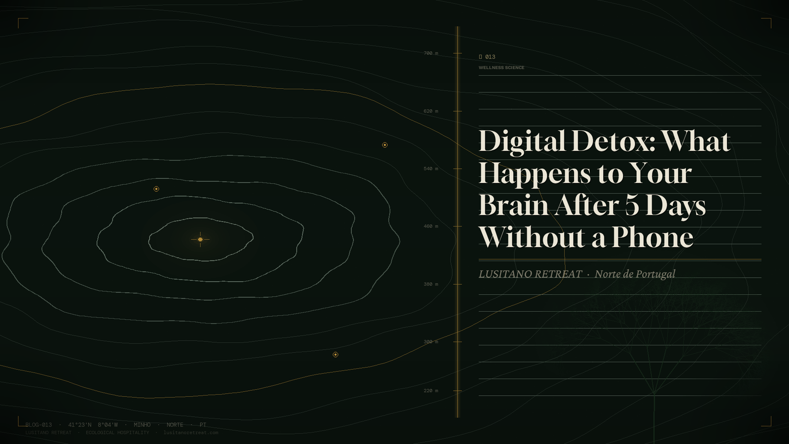 Digital Detox: What Happens to Your Brain After 5 Days Without a Phone