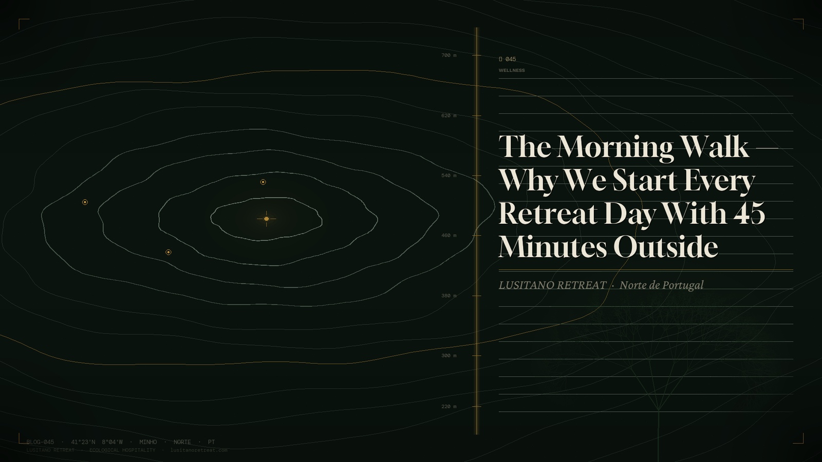 The Morning Walk — Why We Start Every Retreat Day With 45 Minutes Outside